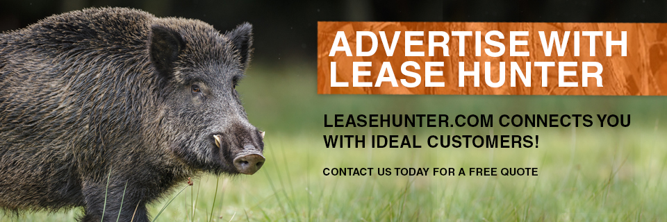 Advertise with leasehunter.com