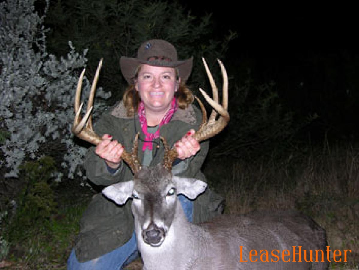 KB's Buck - 144