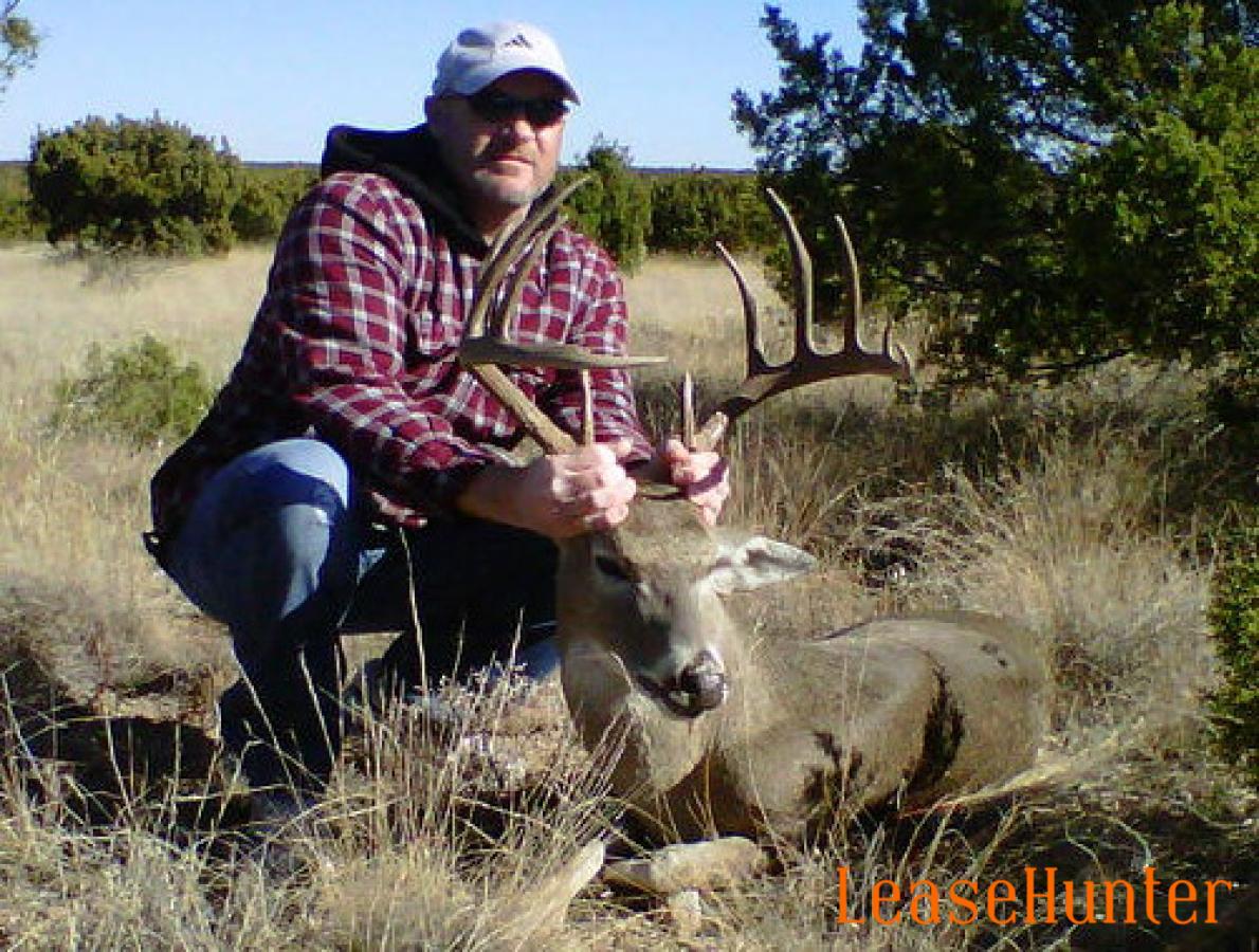 Philip's Buck