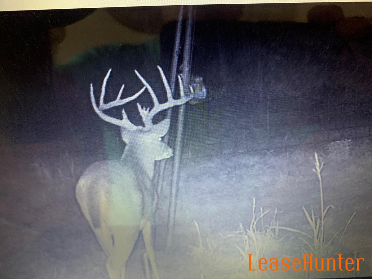Oklahoma Deer Lease