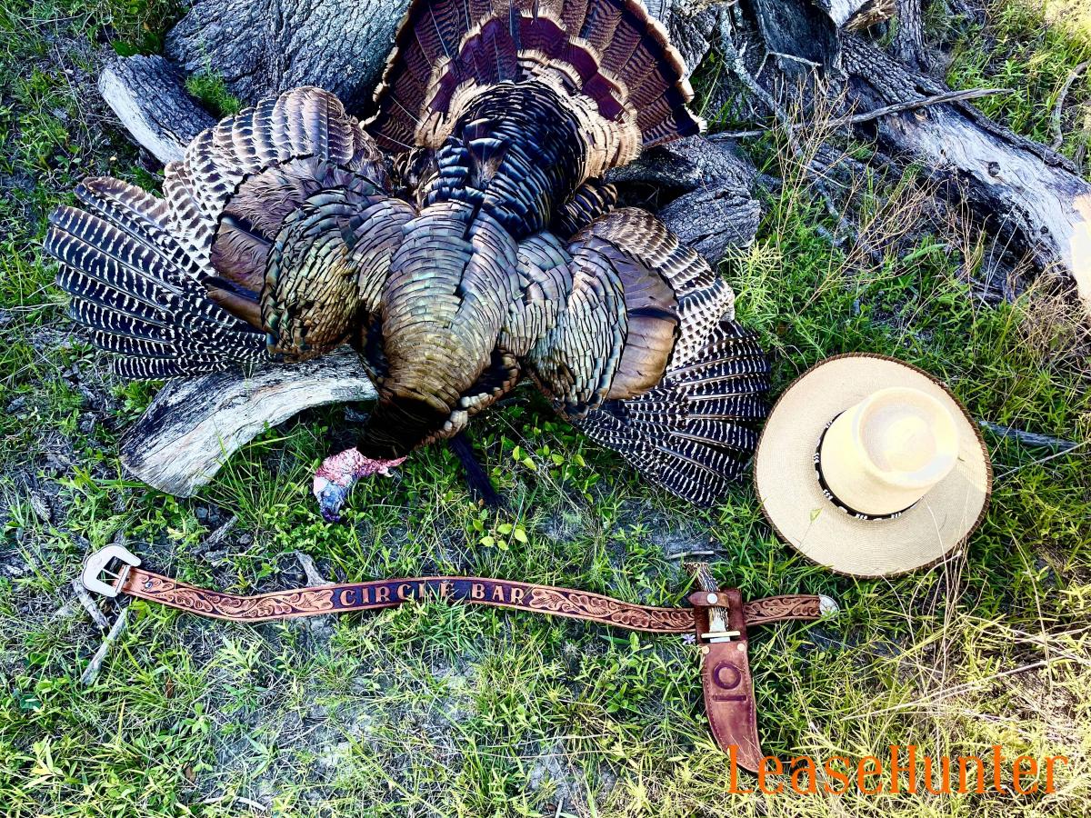 Hill Country Turkey