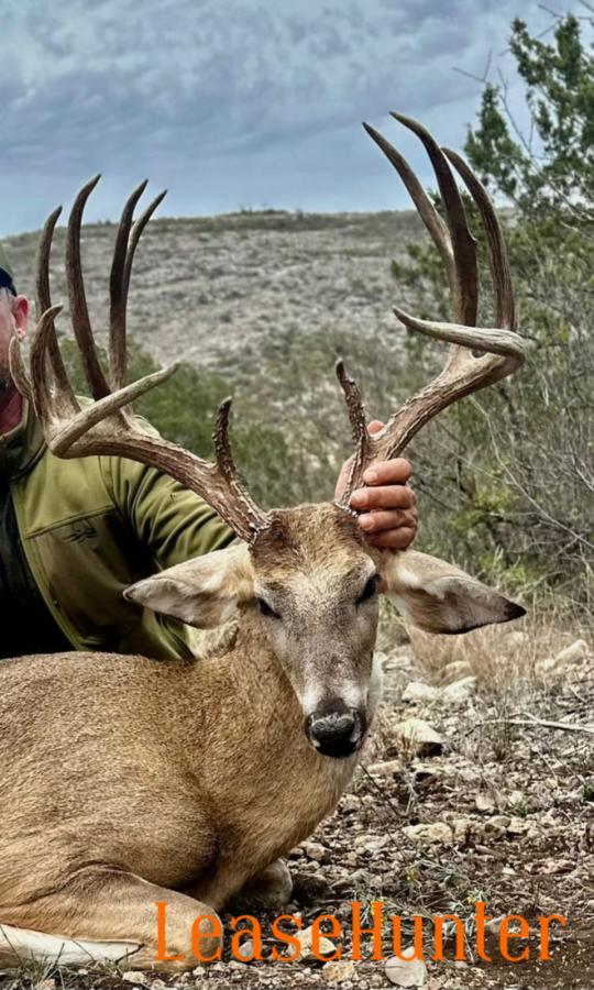 Up to 20 pointer deer on the ranch