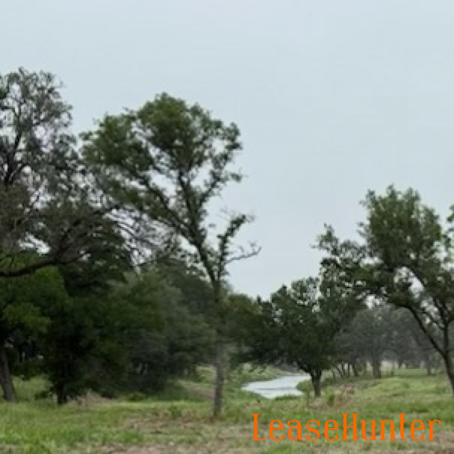 Ranchscape with trees and creek