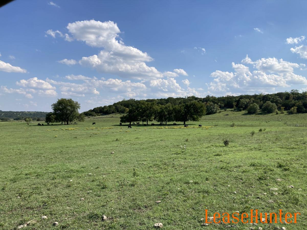 Varied Terrain - Good Cover, Good Open Areas, Good Elevation Changes