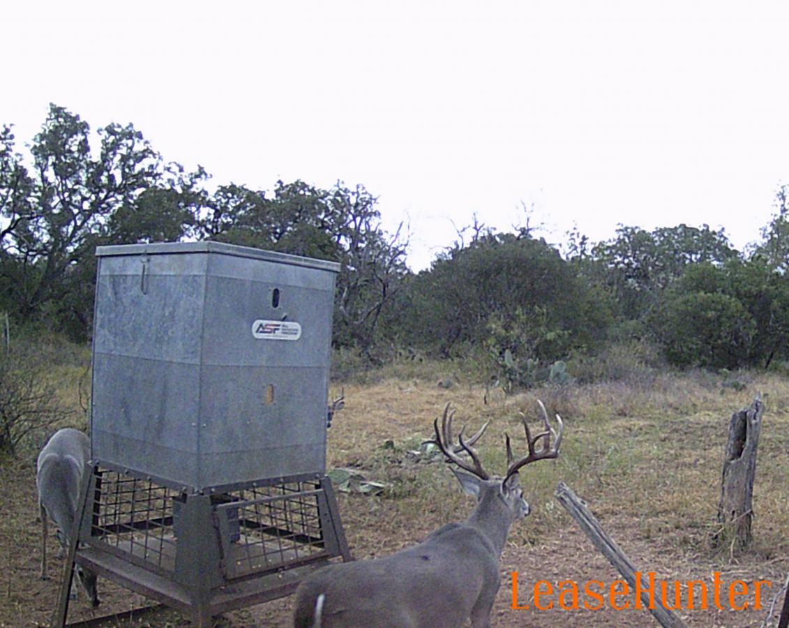 photo from last season