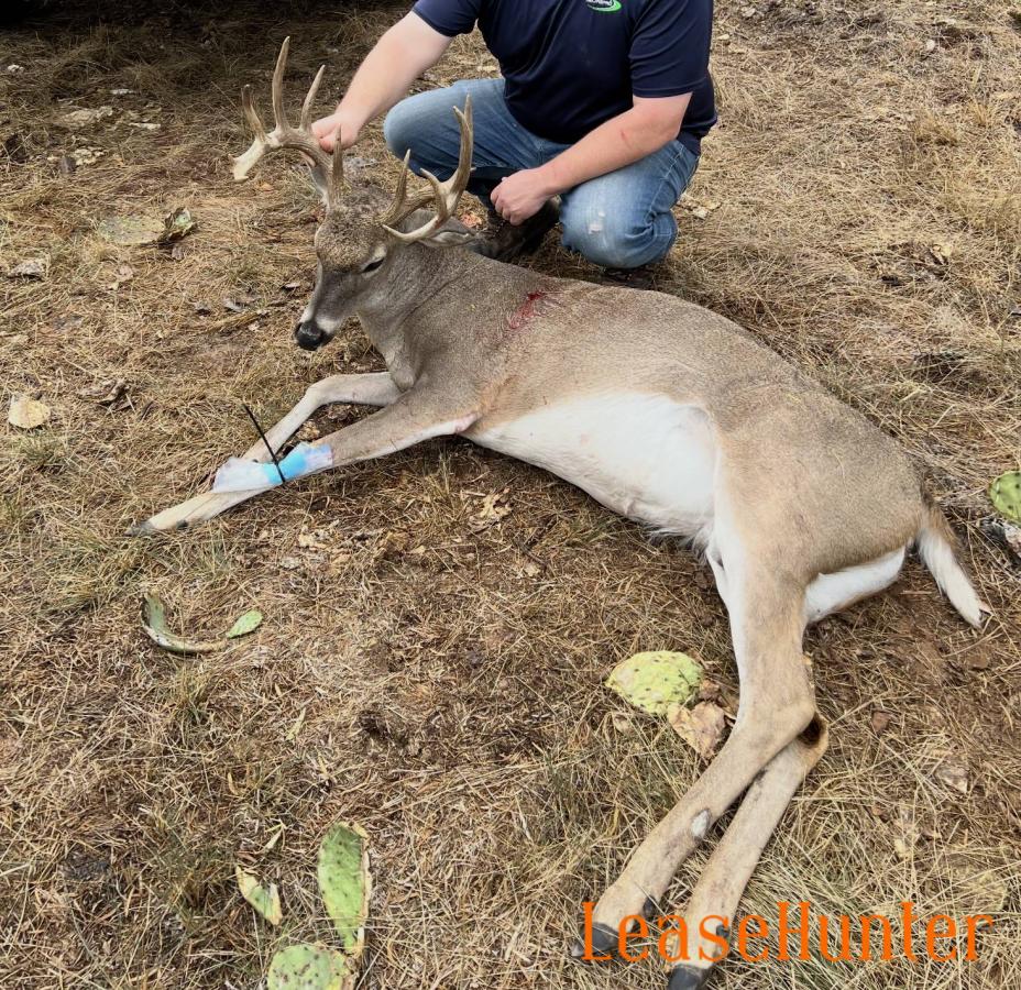 Day one of bow season